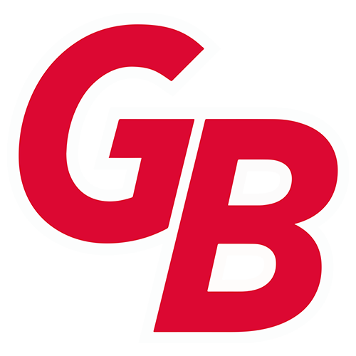 Team B Logo