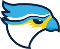 Cardiff Merlins Logo